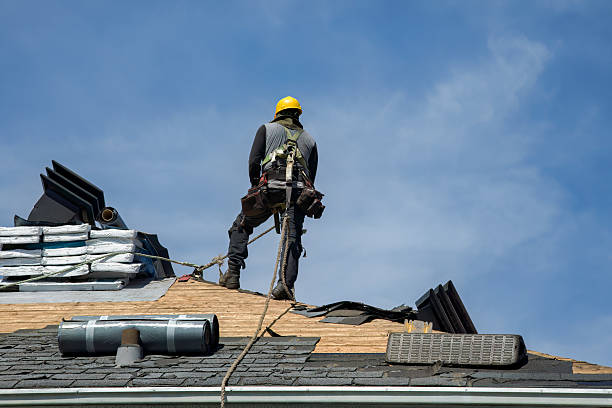 Professional Roof Replacement technician working in Saint Anne, IL